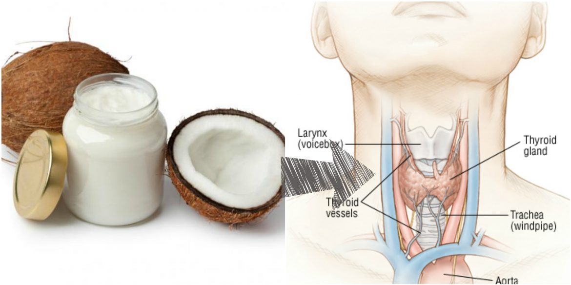 Coconut Oil Benefits for Hypothyroidism